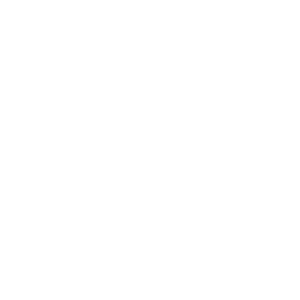 河北智数 logo